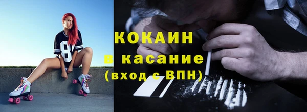 ПСИЛОЦИБИНОВЫЕ ГРИБЫ Алексин