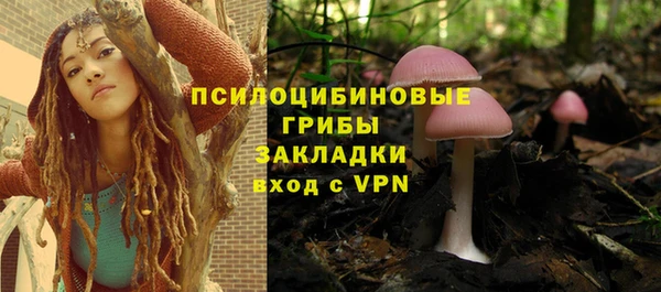 хмурый Покров