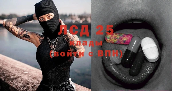 ПСИЛОЦИБИНОВЫЕ ГРИБЫ Алексин