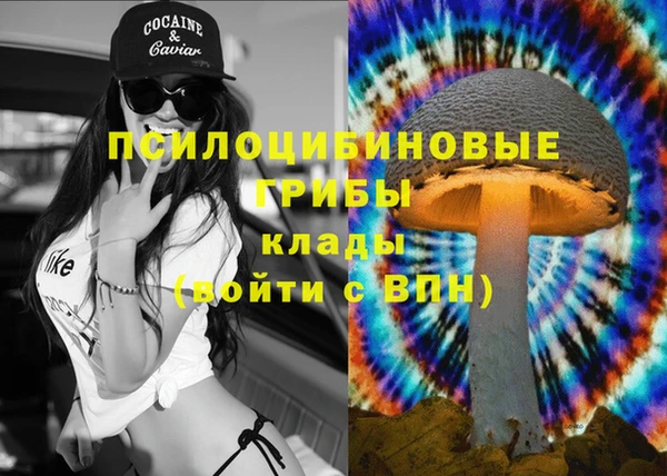 ALPHA-PVP Алексеевка