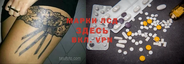 индика Алзамай