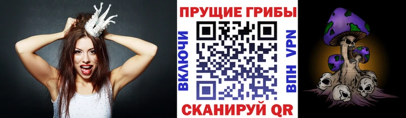 блэк спрут сайт Краснодар Псилоцибиновые грибы прущие грибы