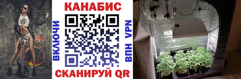 Бошки марихуана индика  как найти   Краснодар 